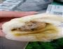 肉包子的做法图解12