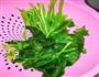 菠菜揪面的做法图解3