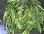 豆豉油麦菜的做法图解9