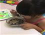 椰汁龟苓膏的做法图解8