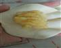 配方奶奶黄包的做法步骤9