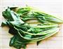 菠菜苹果汁的做法图解1