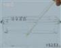盆栽冰激凌的做法图解5