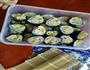 紫菜卷的做法图解6