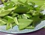 青椒炒豆皮的做法图解3