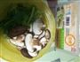 鲫鱼豆腐汤的做法图解1