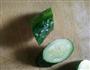 糖拌番茄玫瑰花的做法图解6