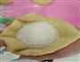 奶香椰蓉面包的做法图解4