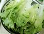 蚝油生菜的做法图解1
