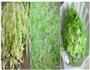 谁说素菜不好吃-肉菜吃腻了，快给宝宝试试这个的做法图解2