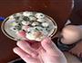 紫菜金枪鱼饭团的做法图解5