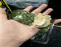 冬菇饺和紫菜包的做法图解2