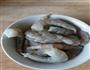 虾仁炒青豆的做法图解1