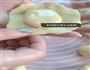 红豆酥的做法图解4