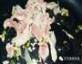 让人头疼的挑食熊孩子，一碗焖面就能搞定豆角焖面的做法图解4