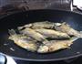 炖野鱼的做法图解3