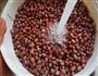 自制蜜红豆的做法图解6