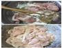 水煮肉片的做法图解1