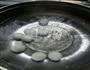 红豆薏米汤圆的做法图解4