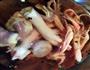 欧洲杯-绝配-香糟海鲜小杂的做法图解1
