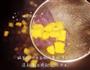 双色芋圆烧仙草的做法图解10