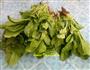 蒜香观达菜的做法图解1