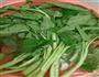 蒜蓉空心菜的做法图解1