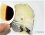 清蒸鳕鱼的做法图解5