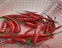 自制剁辣椒的做法图解1