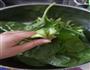 鸡丝芥兰的做法图解1
