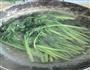 蚝油菜心的做法图解1