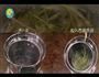 西葫芦面-ZOODLE的做法图解8