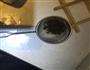 辣子豆腐的做法图解2
