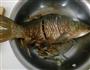 爆香水煮鱼的做法图解3
