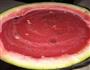 西瓜布丁的做法图解8