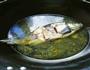 鲫鱼豆腐汤的做法图解4