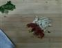 水煮肉片的做法图解3