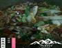 水煮肉片的做法图解4