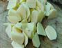 南乳汁土豆的做法图解1