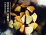 简简单单.烤薯角的做法图解4