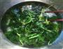 凉拌芹菜叶的做法图解5