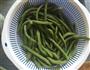 香香豆角猪肉包的做法步骤3