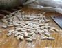麻食的做法图解7