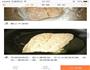 香煎龙利鱼的做法图解2