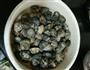 最嫩的葱油蛤蜊的做法图解3
