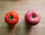 西红柿苹果汁的做法图解1