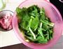 瘦肉青菜面的做法图解1