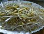 清炒黄豆芽的做法图解1