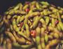香辣毛豆的做法图解6
