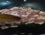 炒小肉片的做法图解3